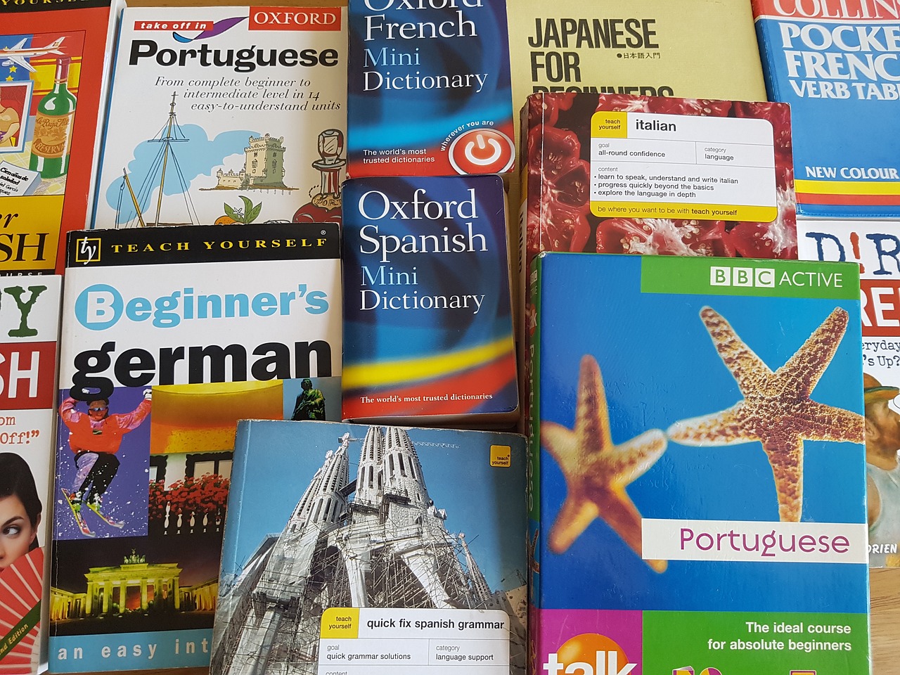 最新暢銷圖書，探索知識的新領域之旅