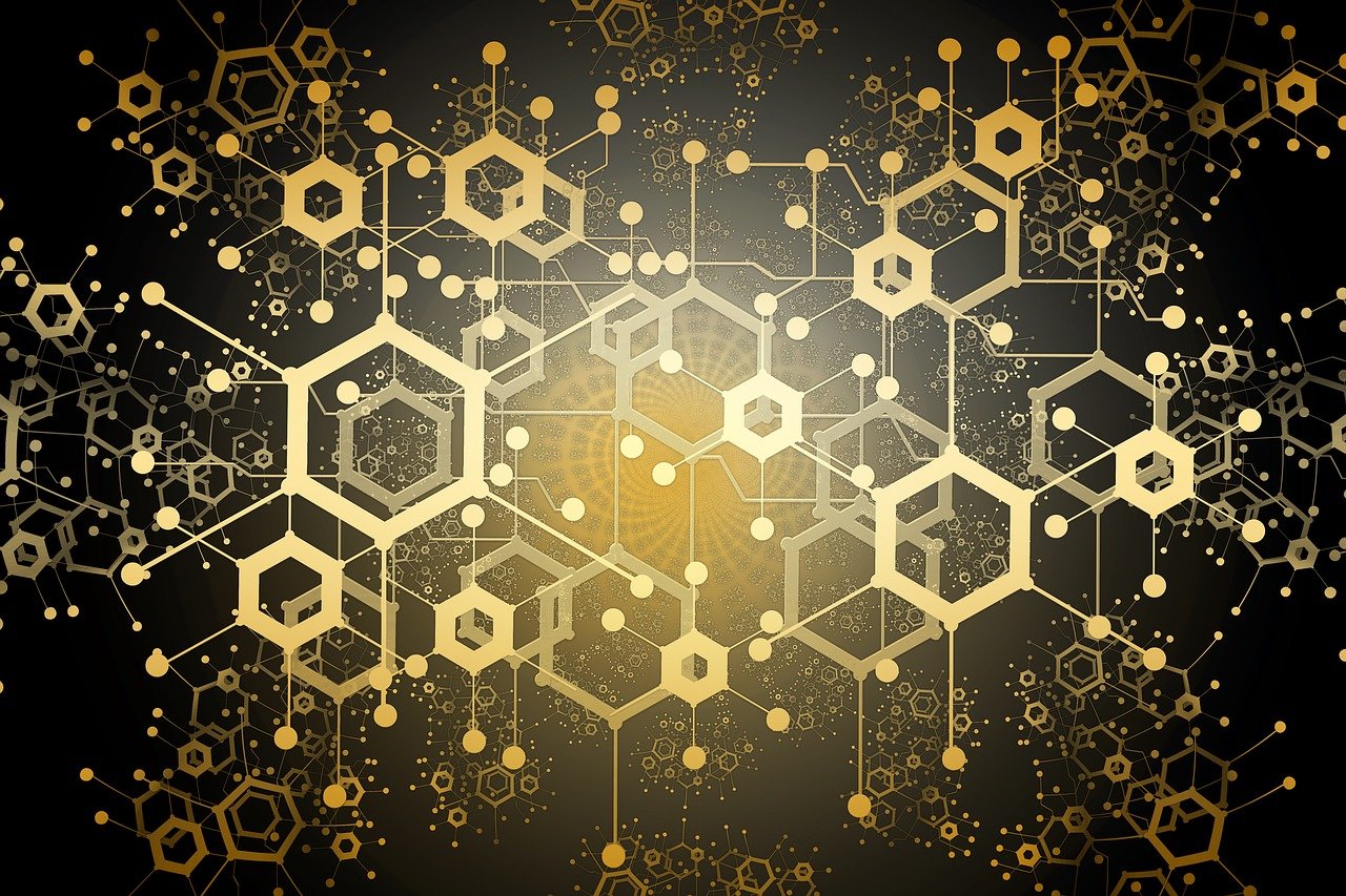 今晚新澳門開獎結果查詢9+,調和之道：息法策略的平衡藝術_智慧共融版8387.4922