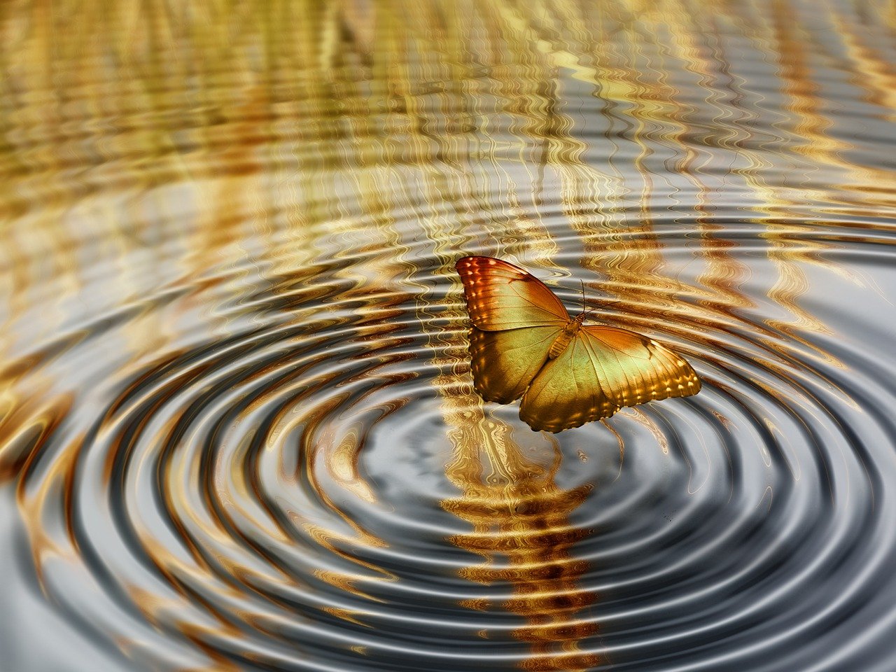 探索人類潛能的無限可能，奇才異能最新篇章揭秘