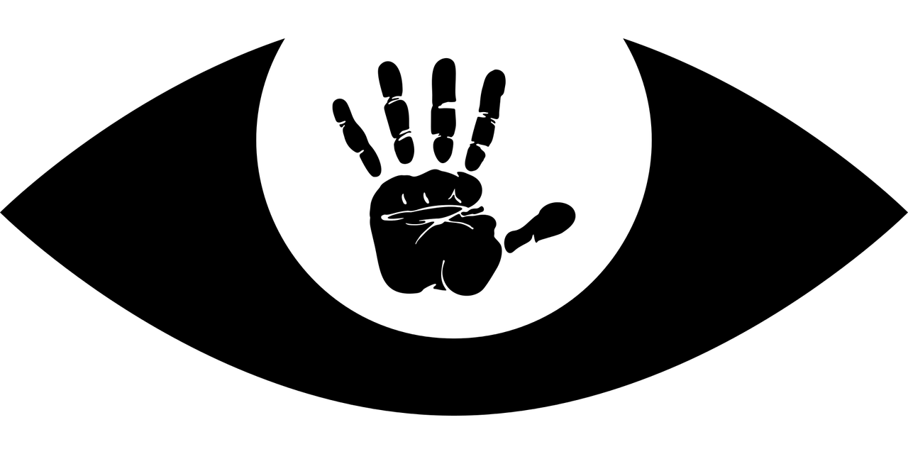 莘縣資訊速遞，最新消息與動態匯總