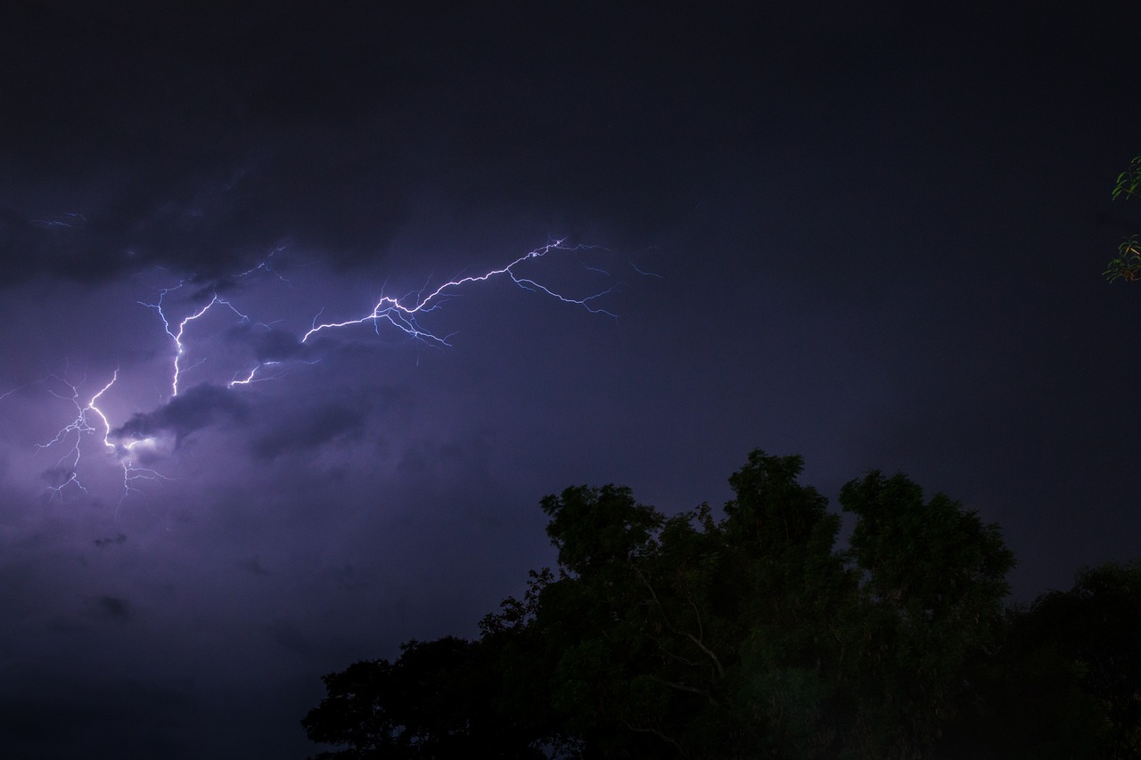 明星雨，聚焦雨中閃耀的明星風采