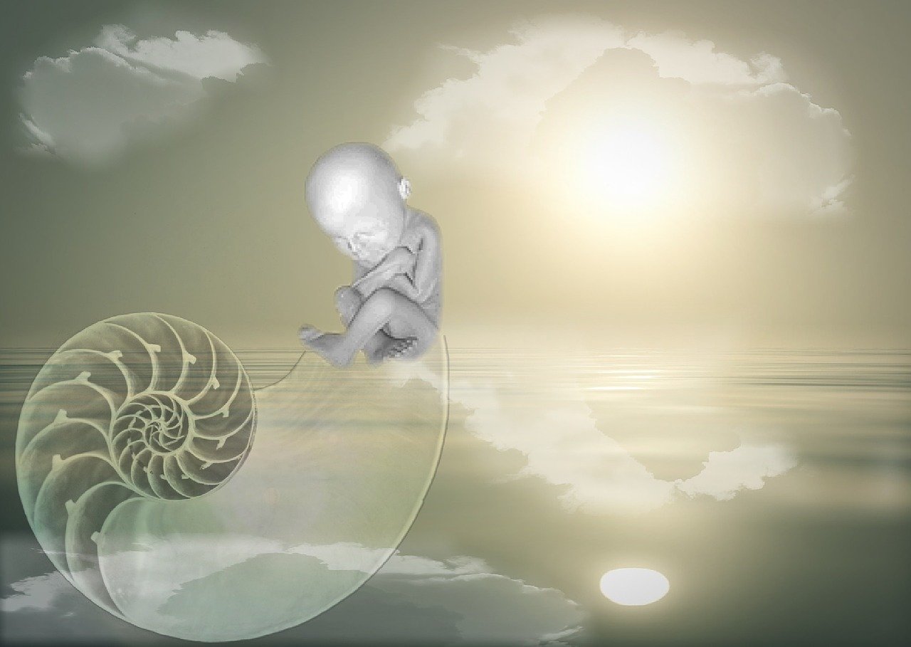 最新溫馨電影，感人佳作，溫暖人心時刻