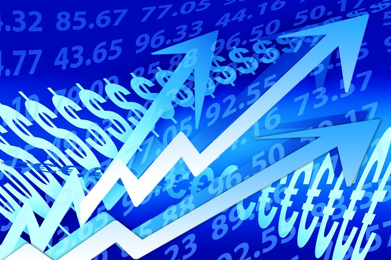 羽絨金網行情深度解析與趨勢分析