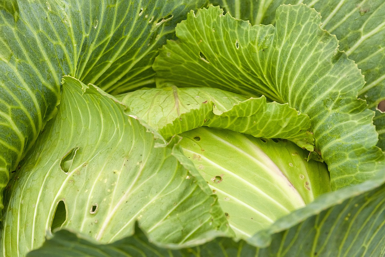 接癡瑤 第5頁