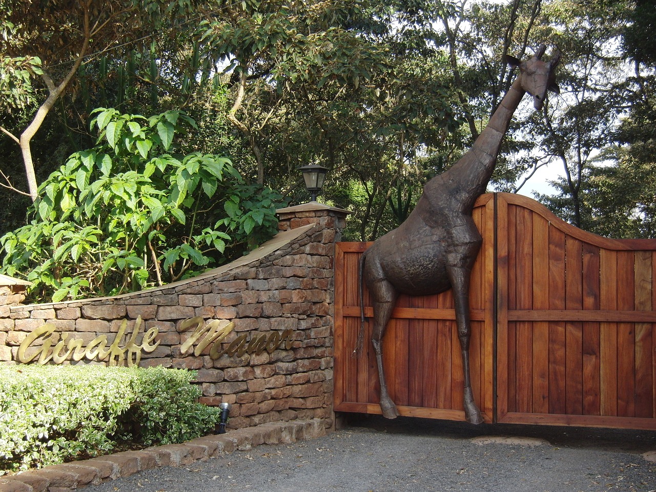 公園最新風采展示
