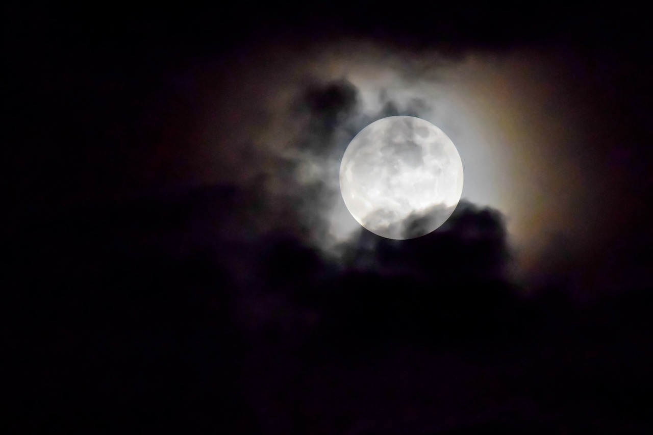探索夜晚影視世界的魅力，最新午夜電影在線觀看